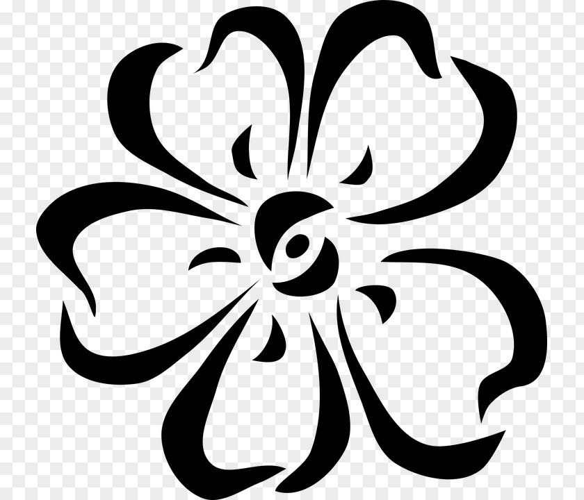 Blume Sophia Floral Designs White Flower Clip Art PNG