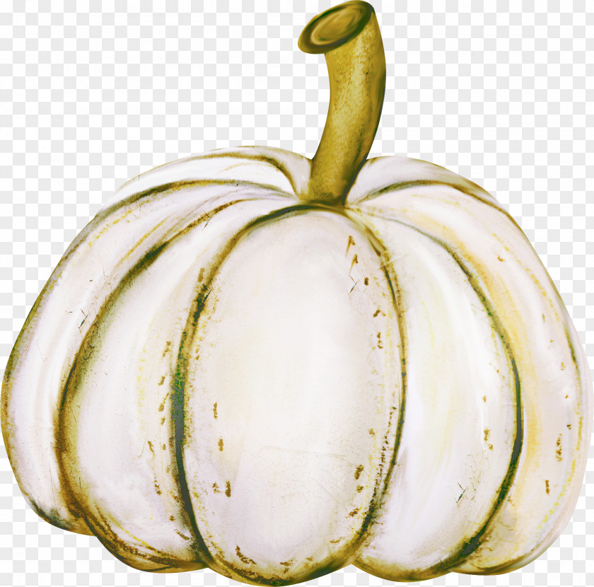 Creative Pumpkin Gourd Great Calabaza Winter Squash PNG