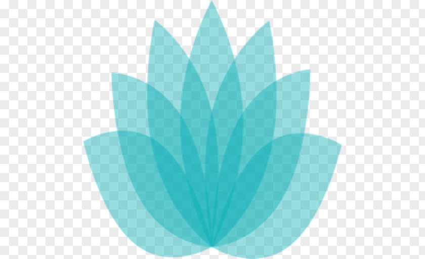 Crop Egyptian Lotus Photography Drawing PNG