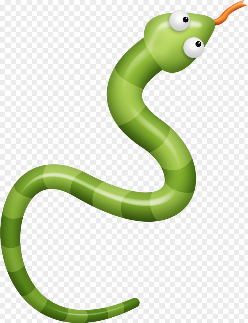Green Cartoon Snake Alligator Clip Art PNG