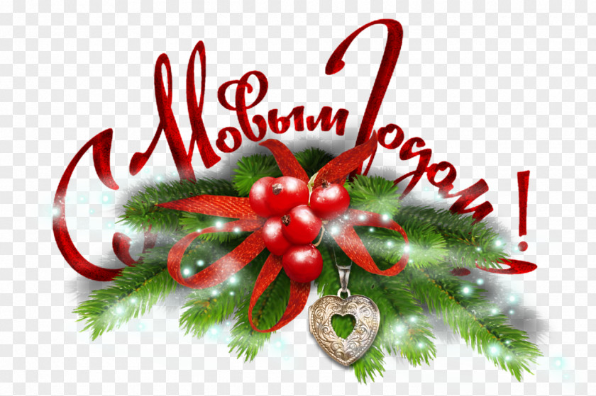 Greeting New Year Tree Ded Moroz Christmas Holiday PNG
