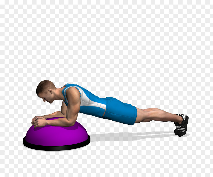 Plank Exercise Pilates Medicine Balls BOSU Abdomen PNG