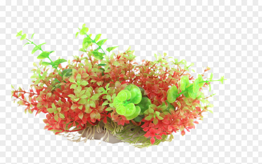Red, Green And Purple Plants Prospects Grass Simulation Aquarium Goldfish & Tropical Fish Icon PNG