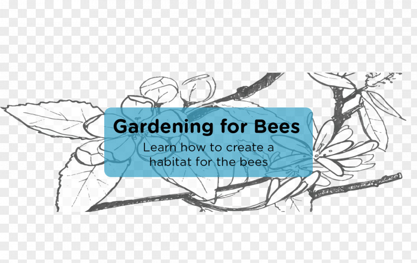 Bee Beekeeping Beehive Apiary Beekeeper PNG