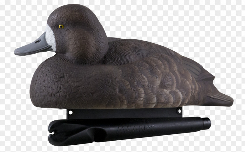Duck Decoy Goose Hunting PNG