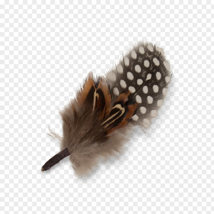 Feather Hat Goorin Bros. Hair Brown PNG