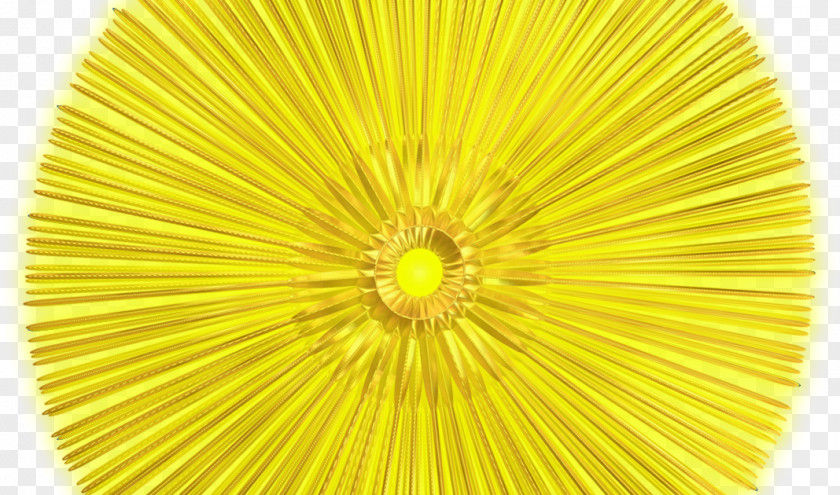 Leia Line Symmetry Flower PNG