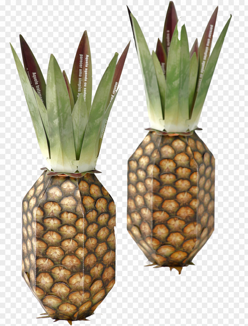 Pineapple Corgraf Graphic Design Corporate PNG