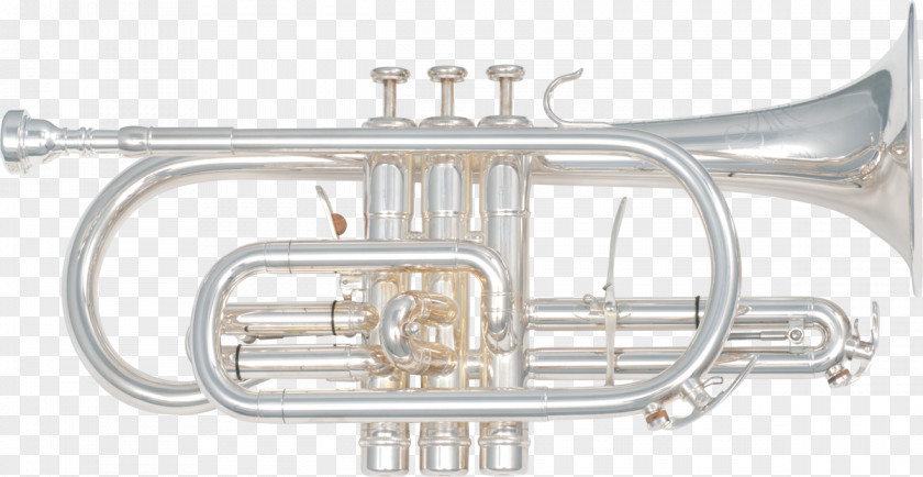 Trumpet Cornet Saxhorn Mellophone Flugelhorn Tenor Horn PNG