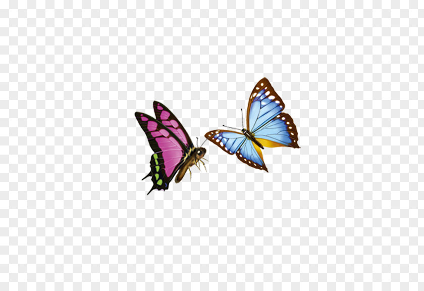 Butterfly Monarch Preview Icon PNG