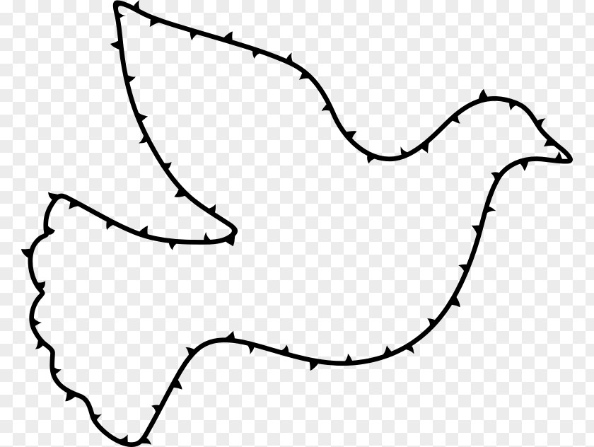 Columbidae Doves As Symbols Drawing Clip Art PNG