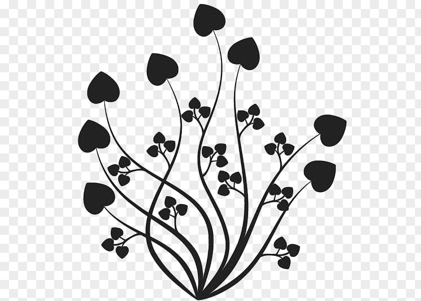 Design Floral Drawing PNG