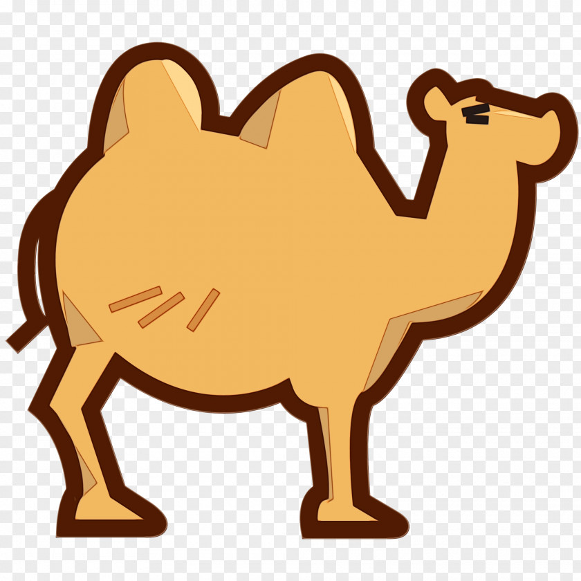 Dromedary Clip Art Fauna Terrestrial Animal Snout PNG