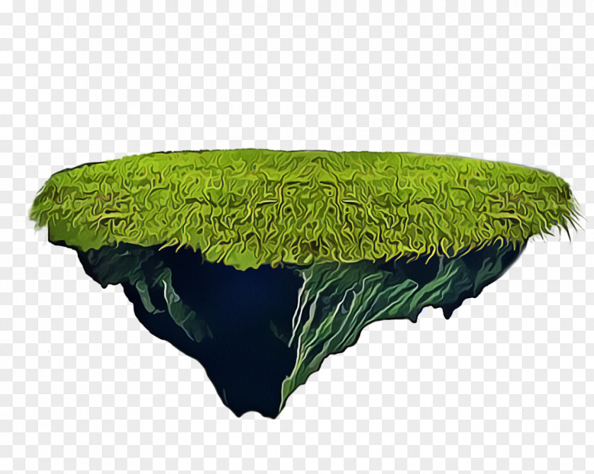 Furniture Rock Grass Leaf Plant Table Moss PNG
