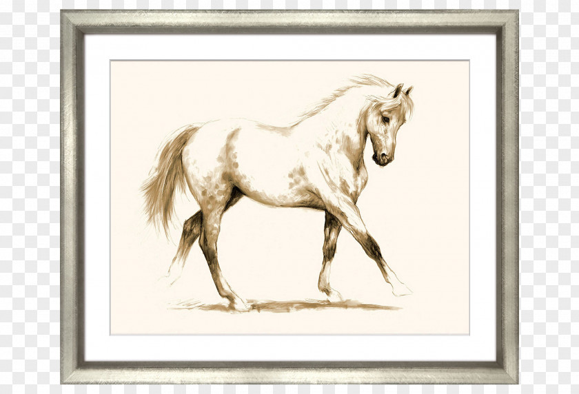 Hand-painted Frame Painting Creative Art Image,horse Drawing Horse PNG