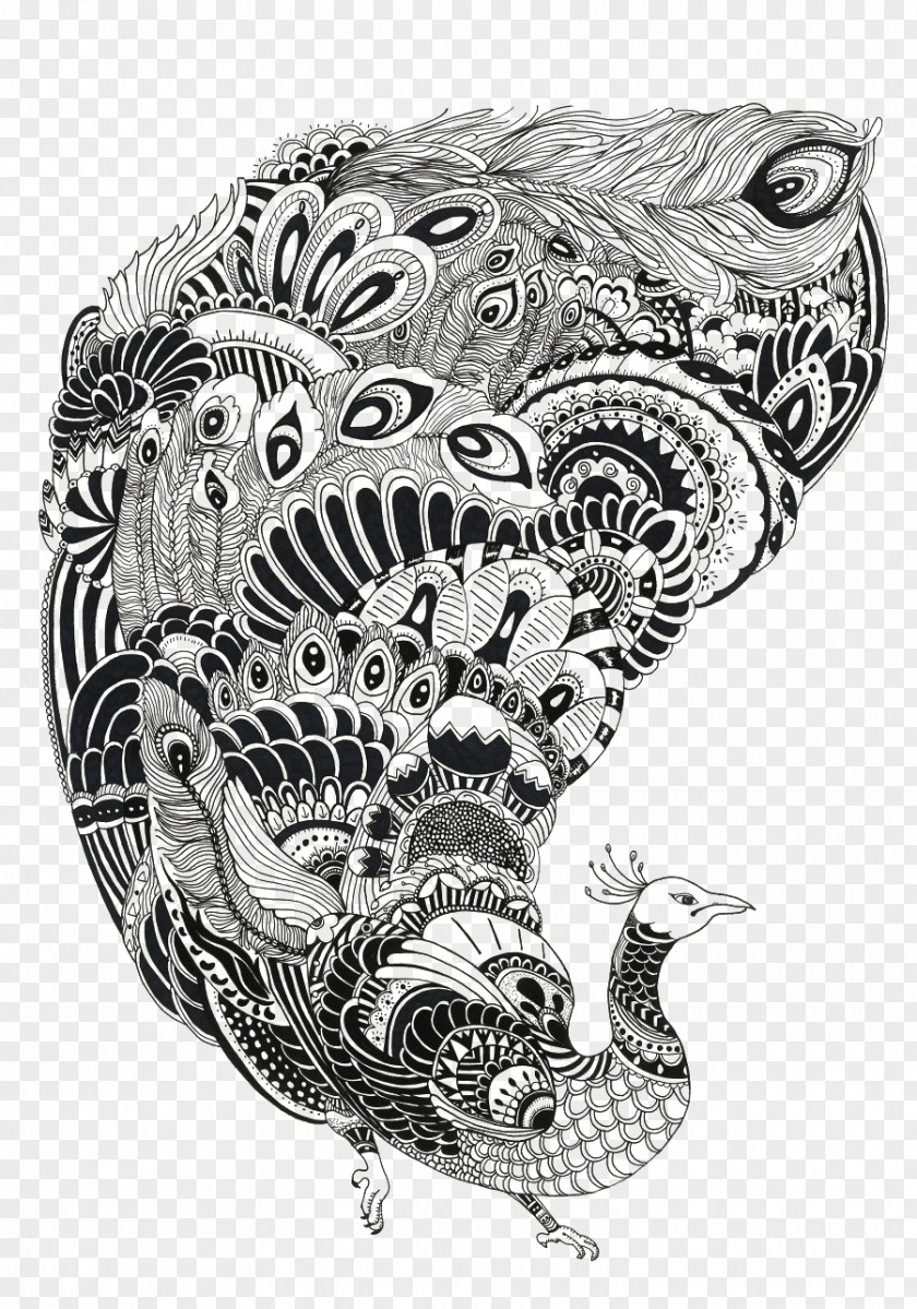 Black And White Line Art Peacock Painting Illustration PNG