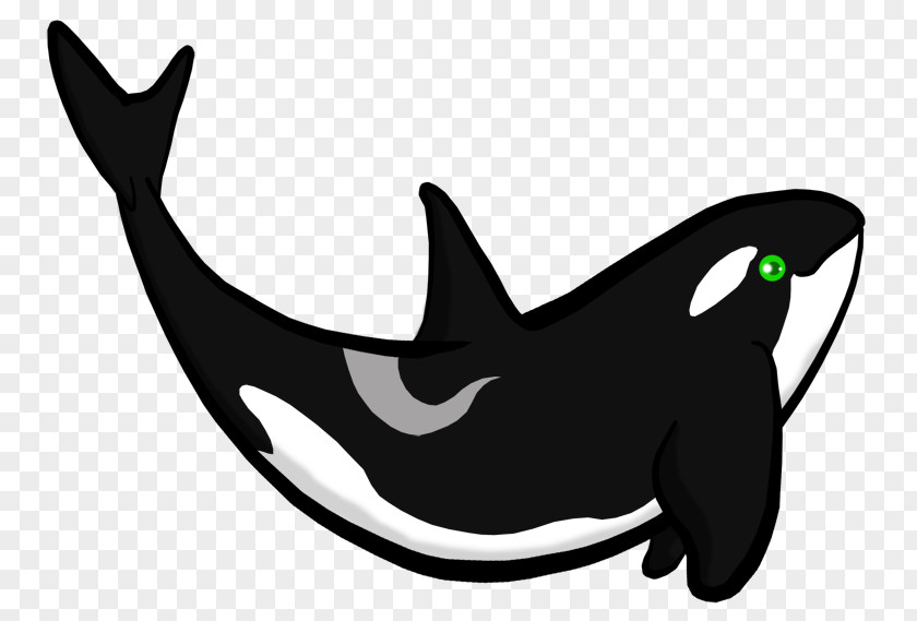 Dolphin Killer Whale Shark Wildlife PNG