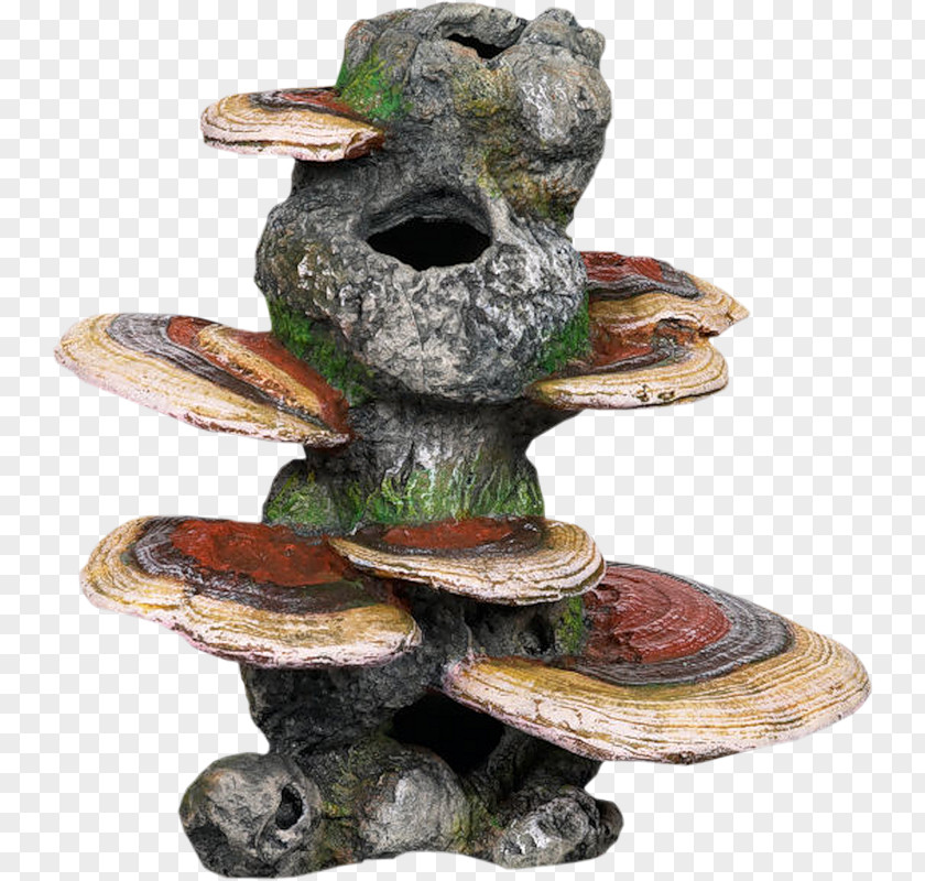Tree Stump Top Fin Water Conditioner Fish PNG