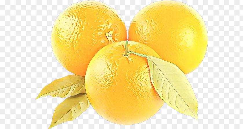 Yellow Fruit Lemon Citrus Meyer PNG