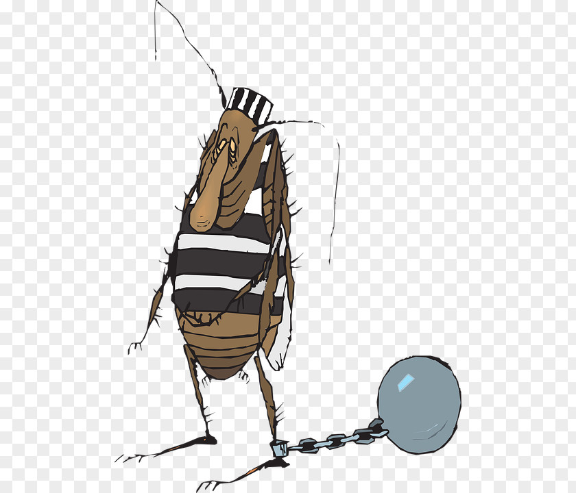 Insect Ant Prisoner Cockroach PNG