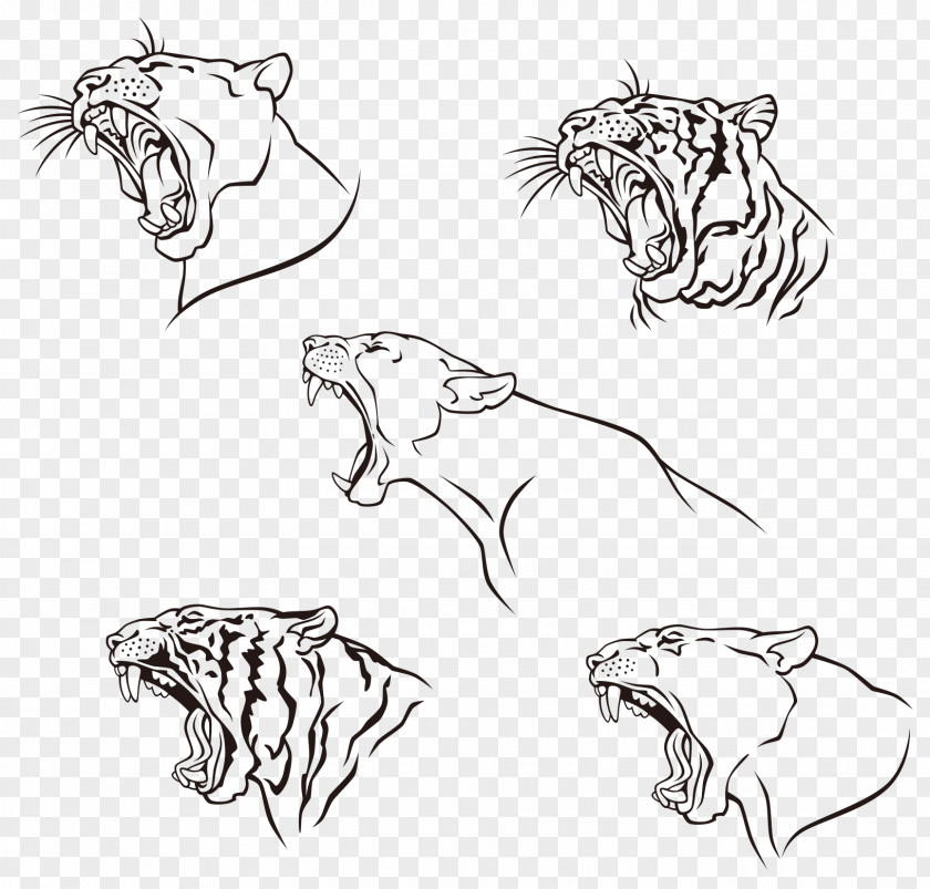 Mouth Of The Leopard Vector Tiger Black Panther Wildcat Felidae PNG