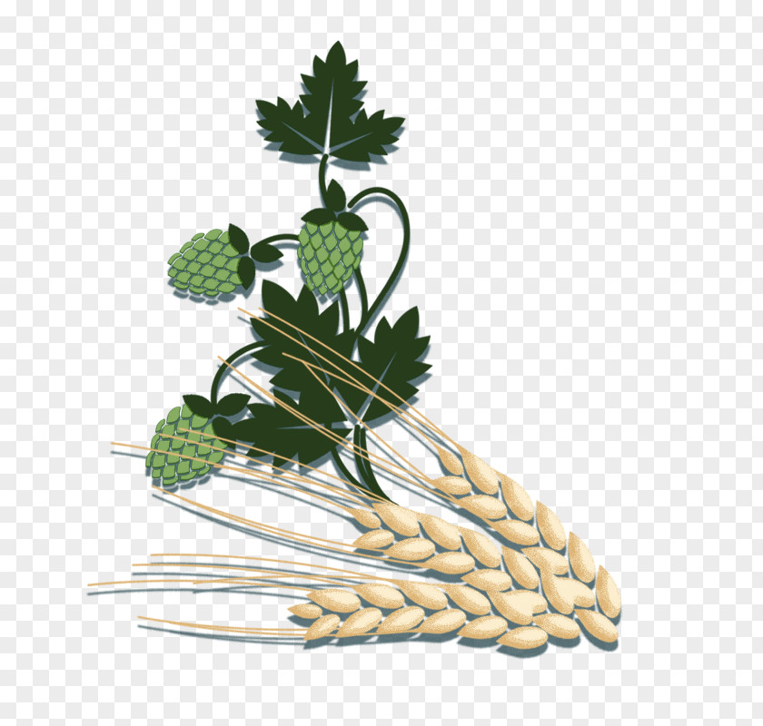 Green Strawberry Plant With Wheat Ornaments Beer Leaf Vegetable PNG