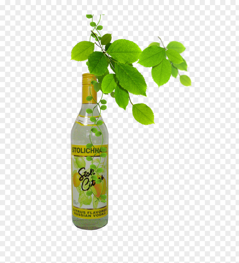 Juice Drinks Soda Soft Drink Apple Carbonated Lemon-lime PNG