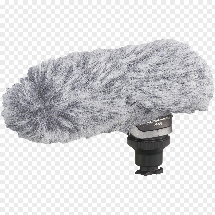 Microphone Camcorder Canon DM-100 Sound PNG