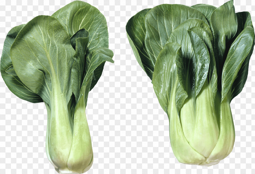 Salad Image Chinese Cabbage Vegetable Vietnamese Cuisine PNG