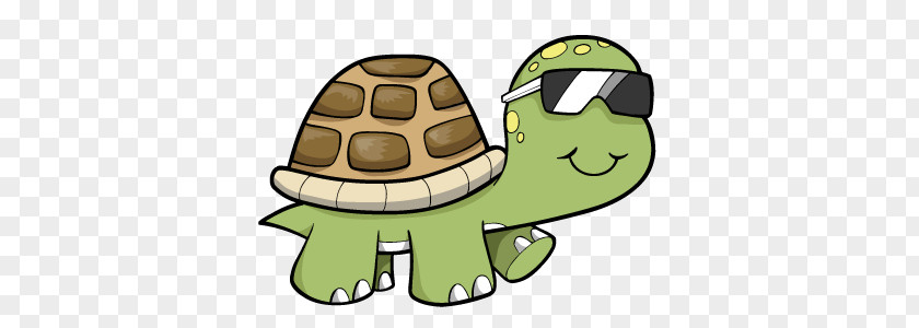 Turtle Cartoon Pics Clip Art PNG
