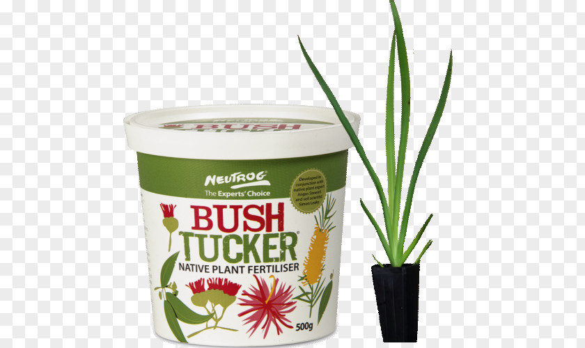 Australia Bush Tucker Australian Cuisine Soil Fertilisers PNG