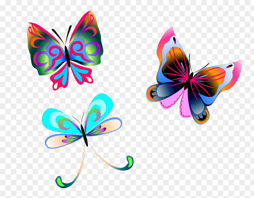 Butterfly Insect Pollinator Arthropod PNG