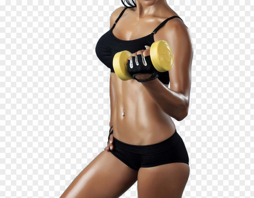 Diet Bodybuilding Flirty Weight Loss Dumbbell Physical Fitness PNG