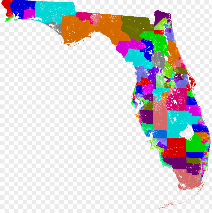 Florida House Of Representatives Statutes Legislature State PNG