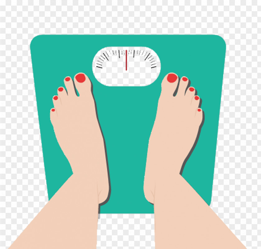 Green Scales Health Diet Icon PNG