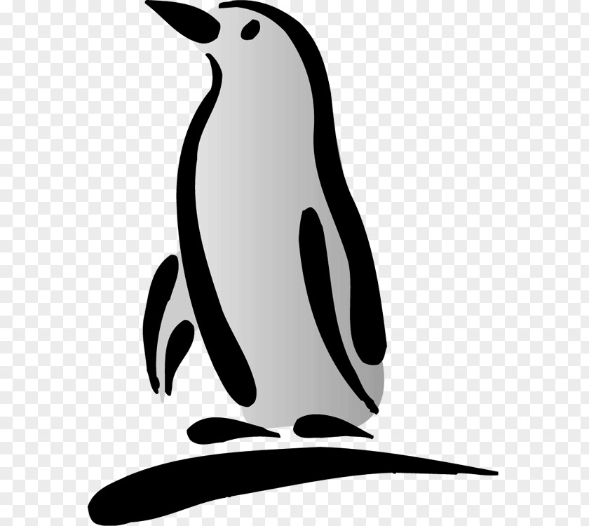Penguins Christmas Penguin Black And White Bird Clip Art PNG