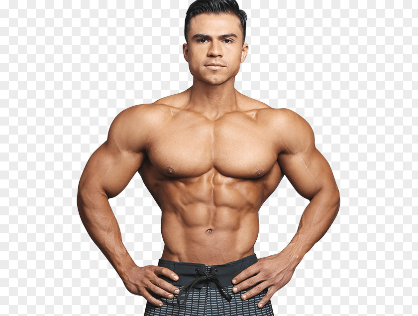 Professional Athlete Ismael Martínez Physical Fitness Bodybuilding Centre Exercise PNG