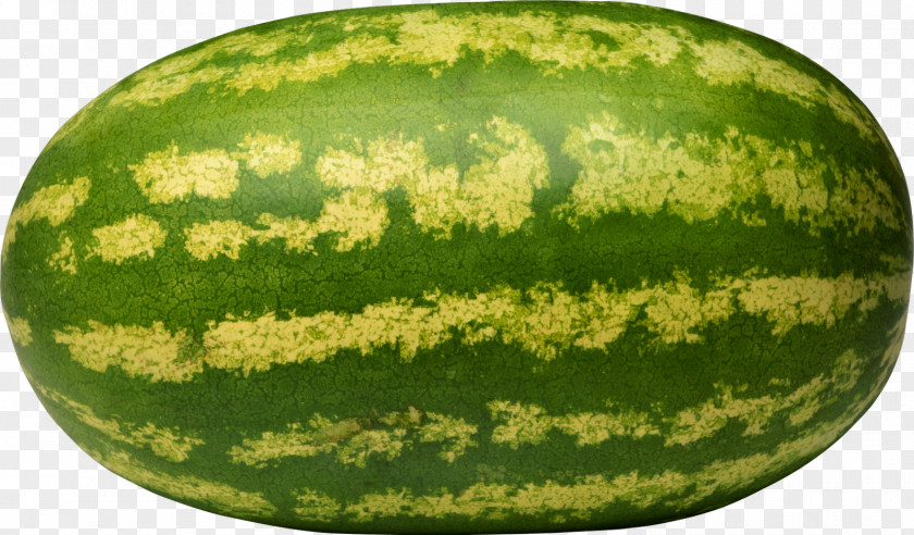 Seed Fruit Watermelon PNG
