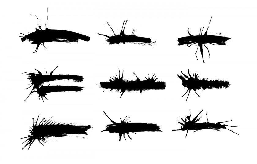 Brush Stroke Black And White Insect PNG