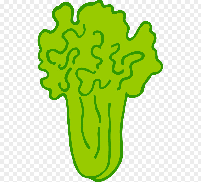 Cabbage Vegetables Cartoons Vegetable Napa Chinese PNG
