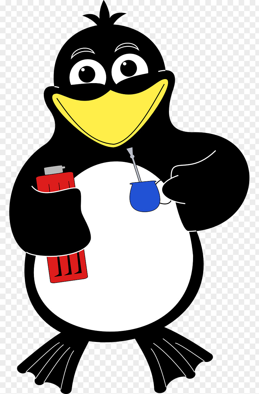 Penguins Penguin Bird Clip Art PNG