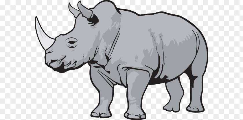 Rhinoceros Clip Art PNG