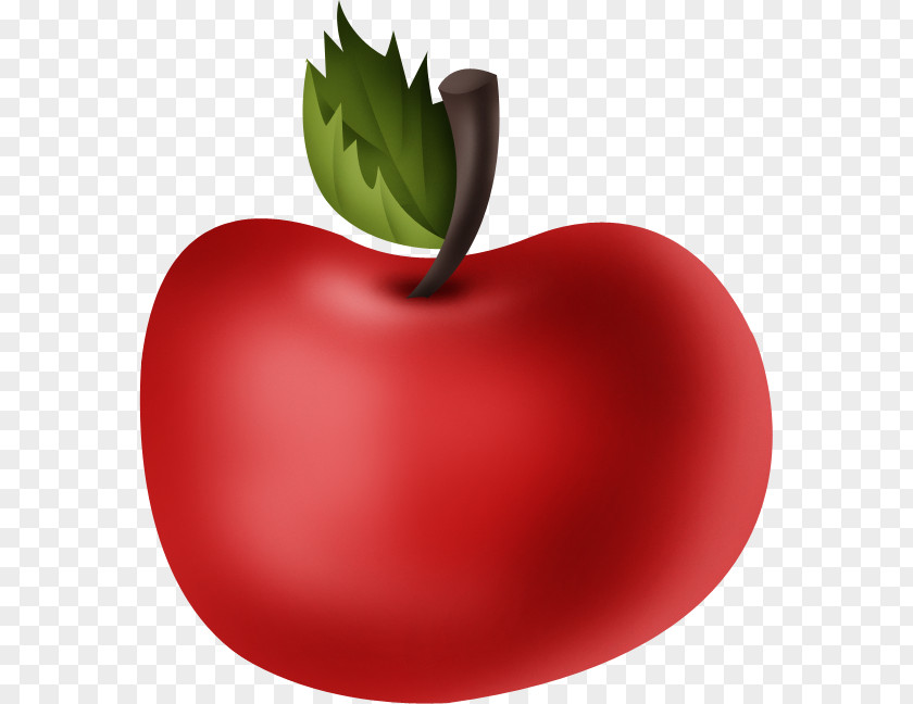 Apple Drawing PNG