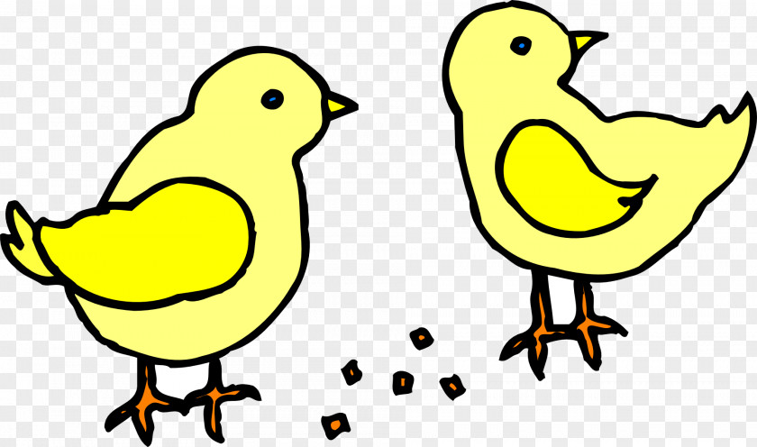 Chicks Chicken Kifaranga Clip Art PNG