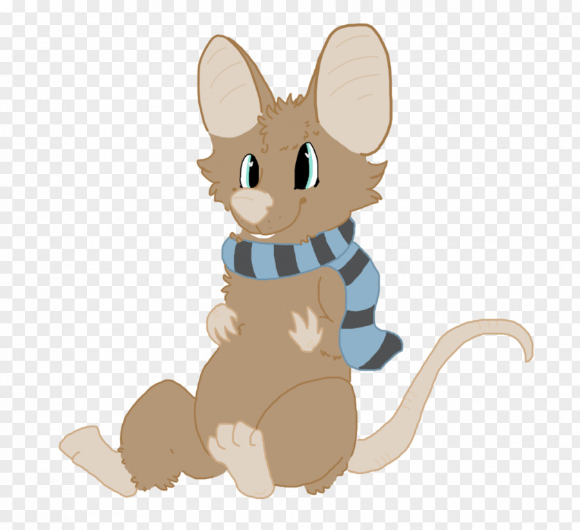 Mouse Rat Whiskers Macropodidae Cat PNG