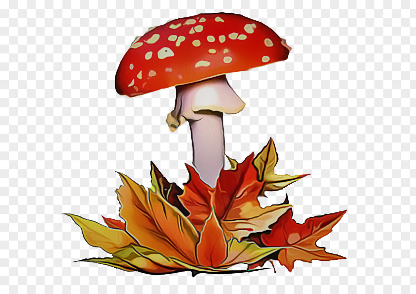 Plant Fungus Agaric Mushroom Leaf Agaricomycetes Autumn PNG
