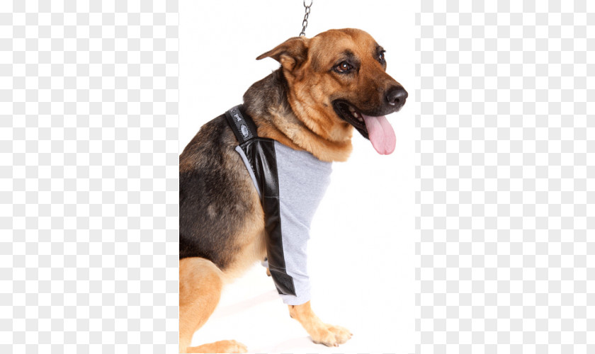Puppy Dog Breed German Shepherd Bursitis Elizabethan Collar PNG