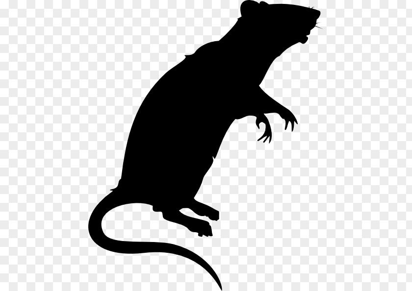 Rat Dog Clip Art Mammal Mustelids PNG