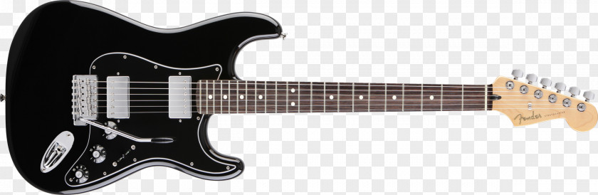 Sitar Fender Stratocaster Telecaster Jaguar Jazzmaster Musical Instruments Corporation PNG