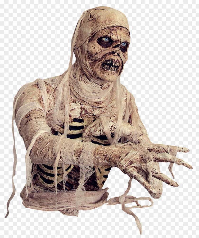 Skeleton Hand Mummy Clip Art Image Download PNG